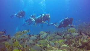 SCUBA diving Cancun